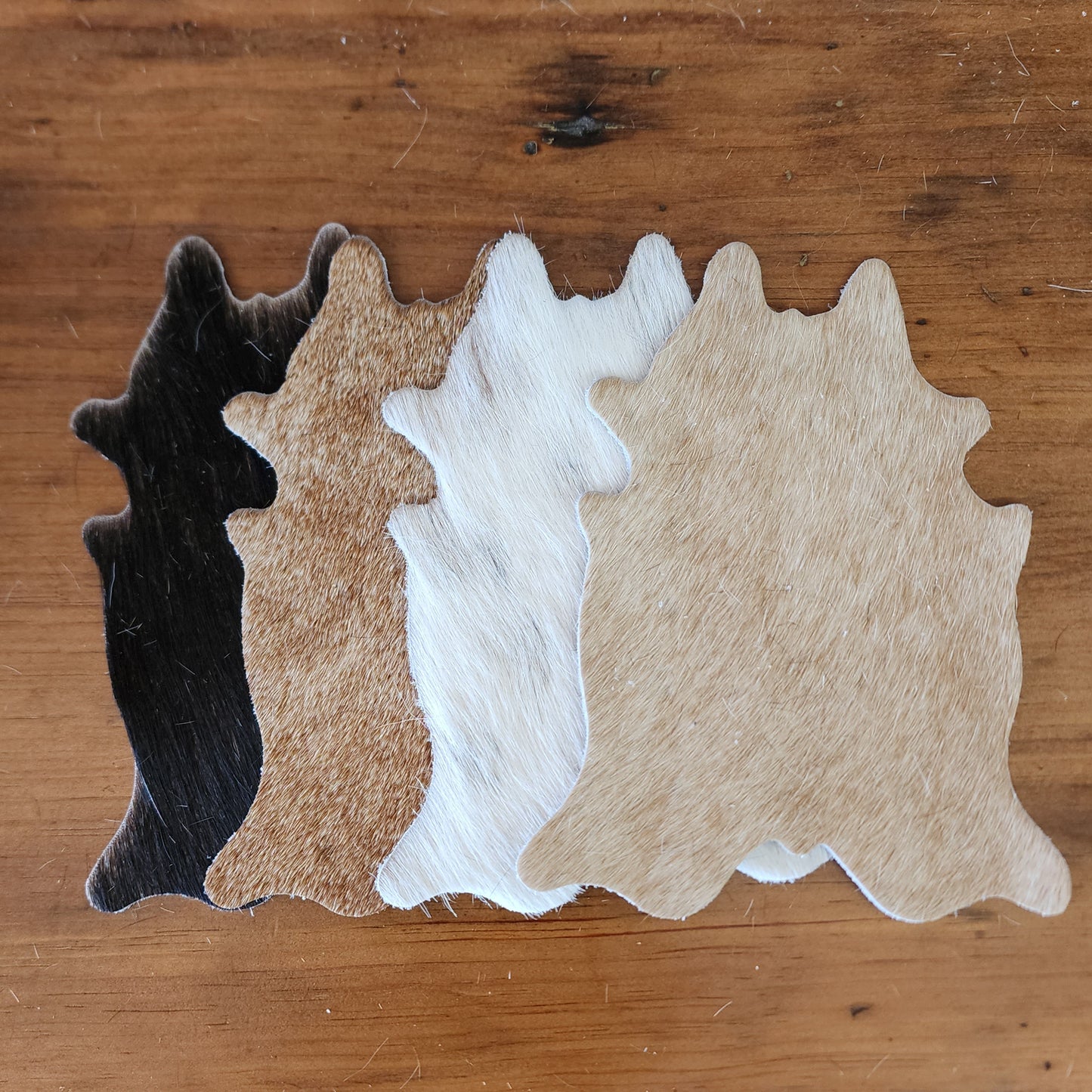 Cowhide Coasters - Solid Set of Four